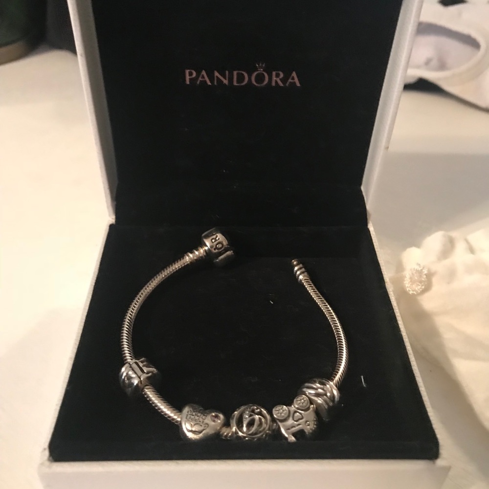 Pandora Bracelet and charms